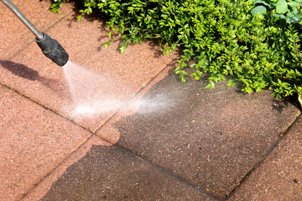 Best Exterior Home Cleaning  in Cornelius, NC